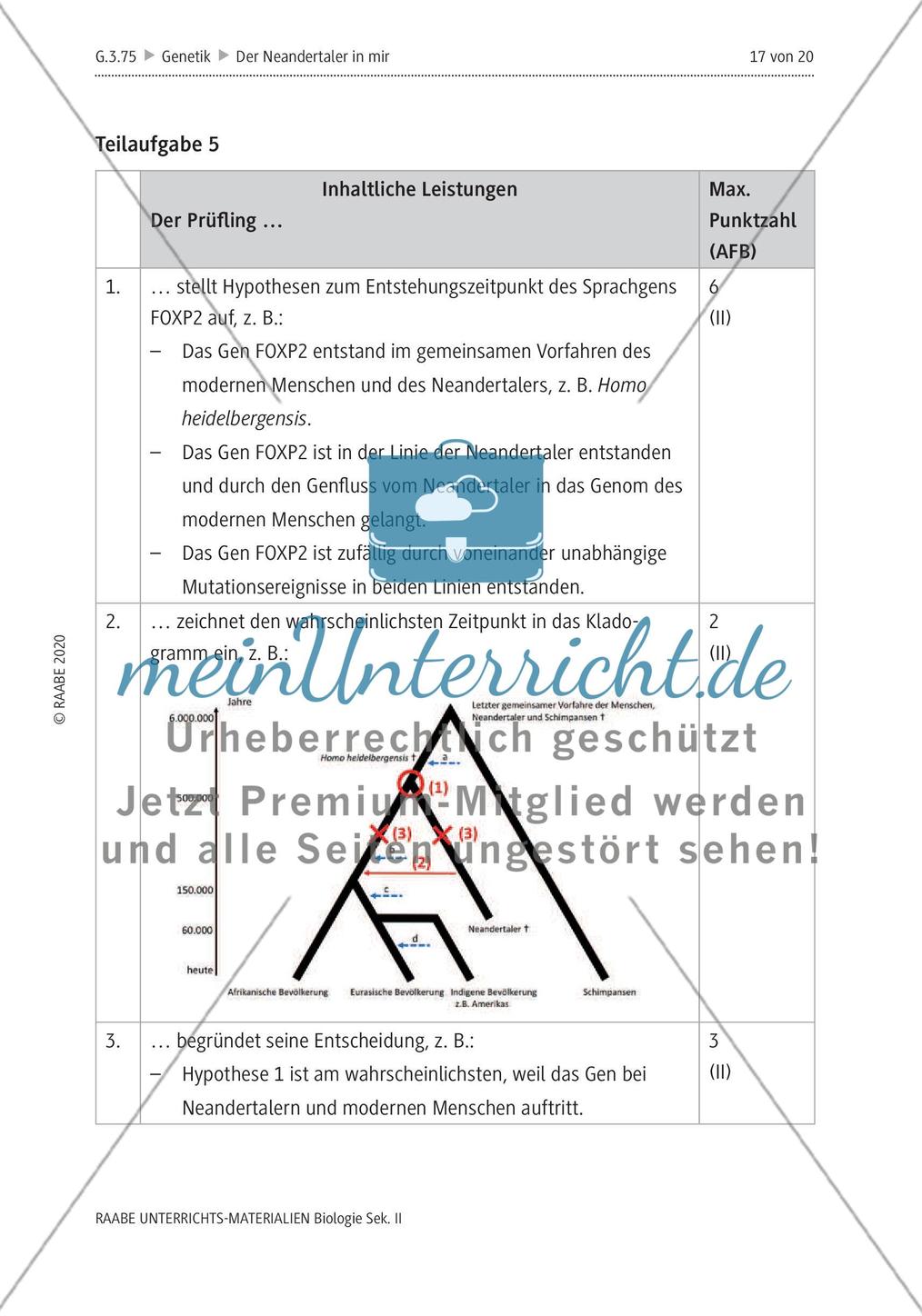 Der Neandertaler in mir – Genetisches Erbe im modernen Menschen Preview 21
