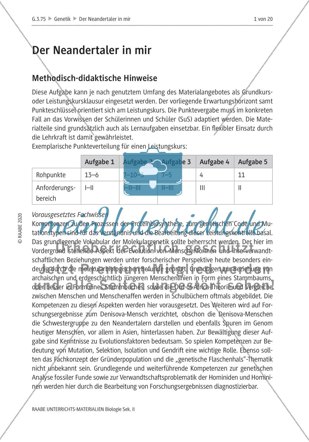Der Neandertaler in mir – Genetisches Erbe im modernen Menschen Preview 5