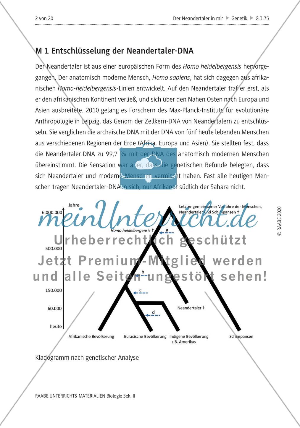 Der Neandertaler in mir – Genetisches Erbe im modernen Menschen Preview 6