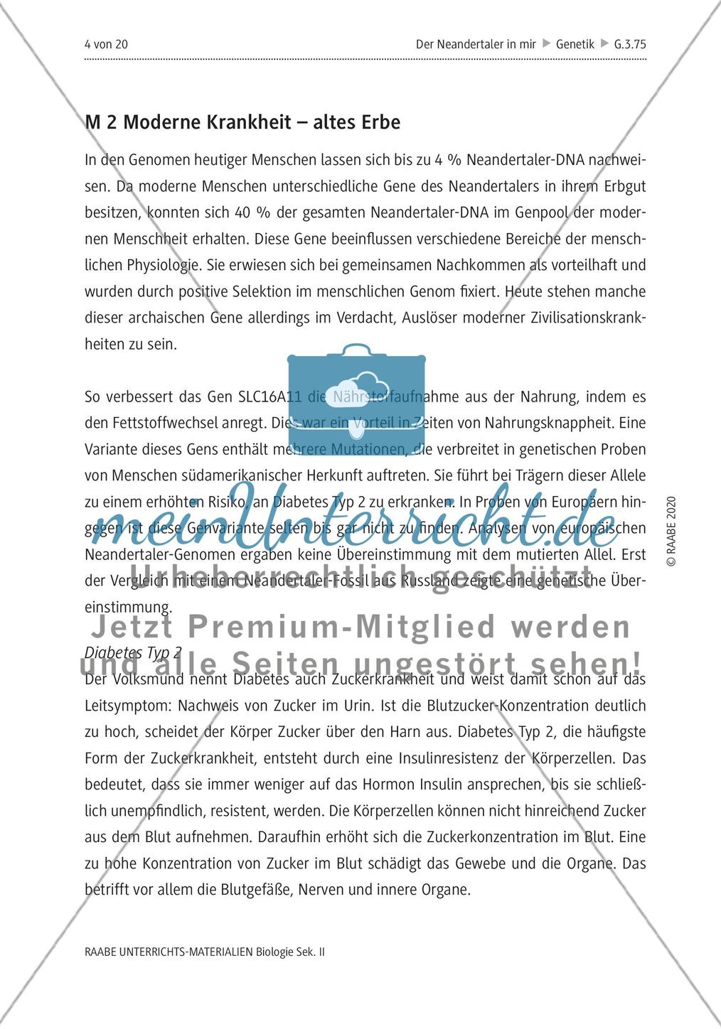 Der Neandertaler in mir – Genetisches Erbe im modernen Menschen Preview 8