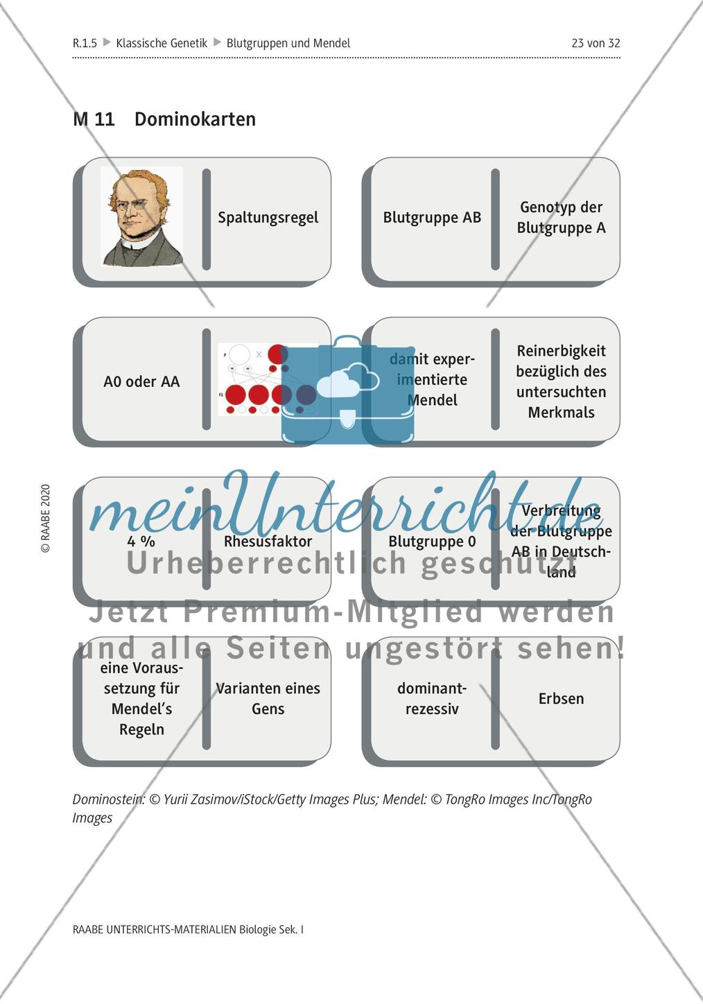 Dominokarten Preview 1