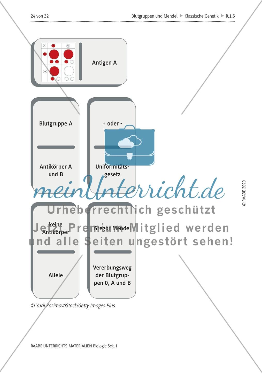 Dominokarten Preview 2