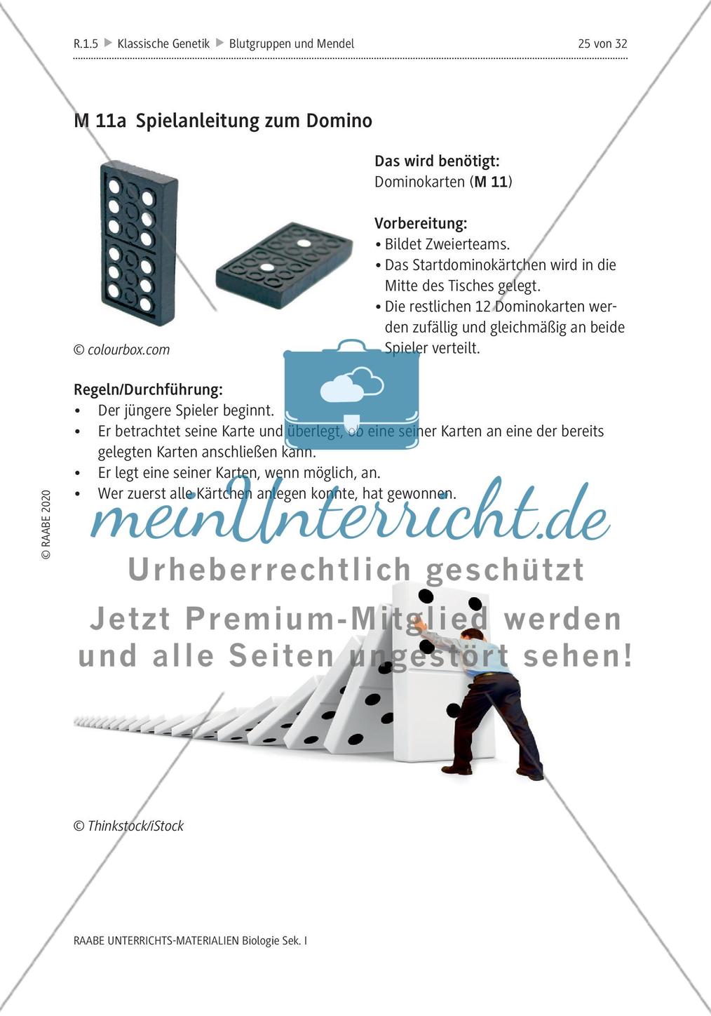 Dominokarten Preview 3