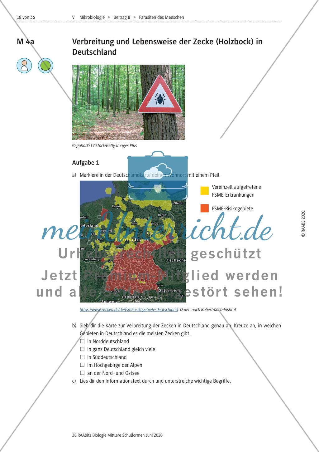 Strukturierungsbaustein – Zecken als keineswegs harmlose Ektoparasiten Preview 1