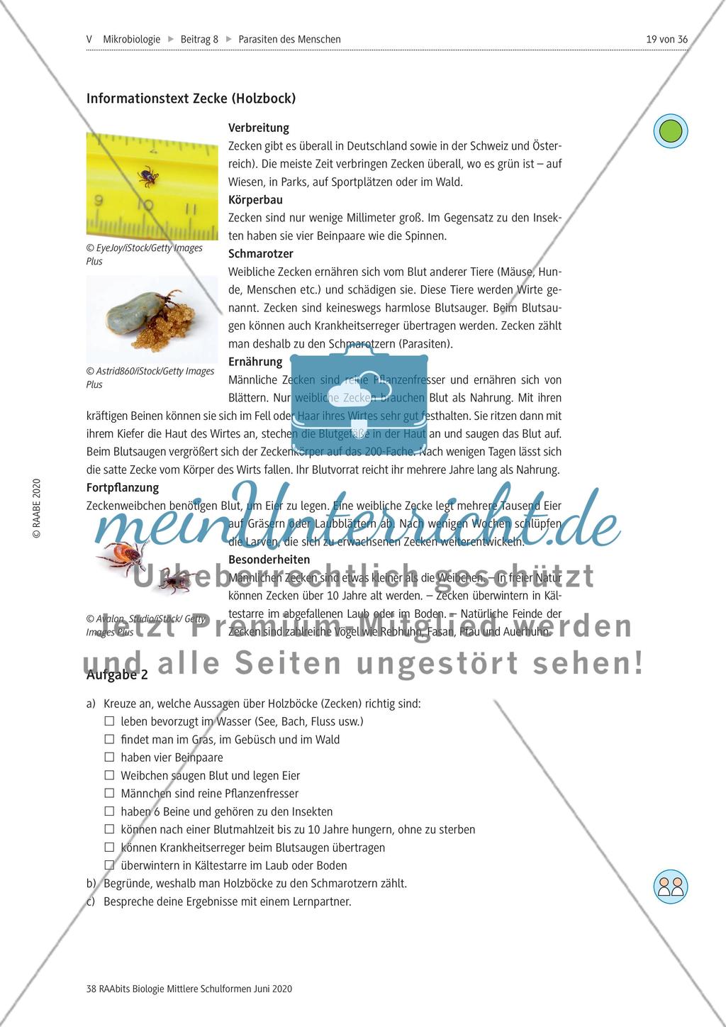 Strukturierungsbaustein – Zecken als keineswegs harmlose Ektoparasiten Preview 2