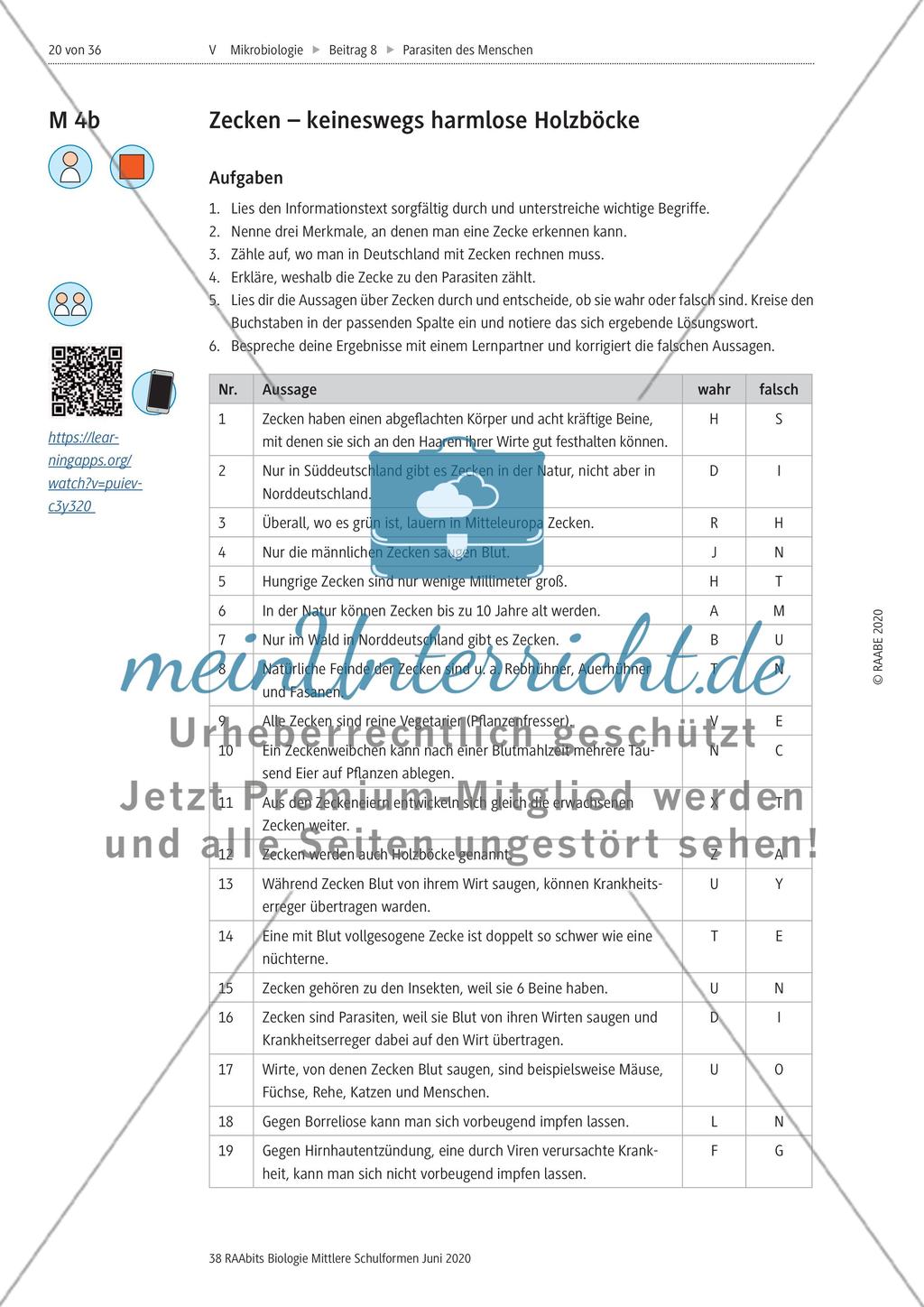 Strukturierungsbaustein – Zecken als keineswegs harmlose Ektoparasiten Preview 3