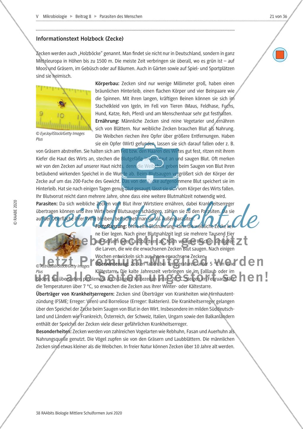Strukturierungsbaustein – Zecken als keineswegs harmlose Ektoparasiten Preview 4