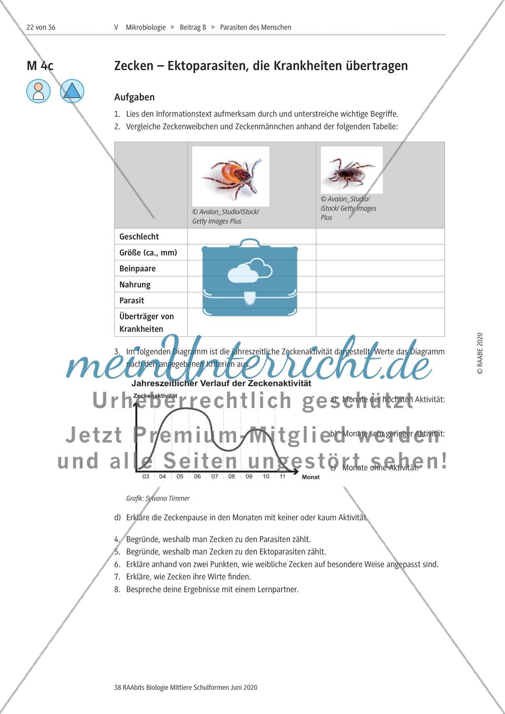 Strukturierungsbaustein – Zecken als keineswegs harmlose Ektoparasiten Preview 5