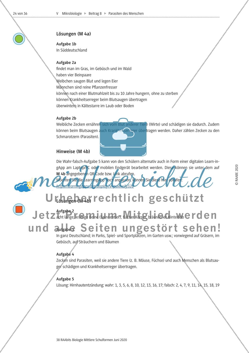 Strukturierungsbaustein – Zecken als keineswegs harmlose Ektoparasiten Preview 7