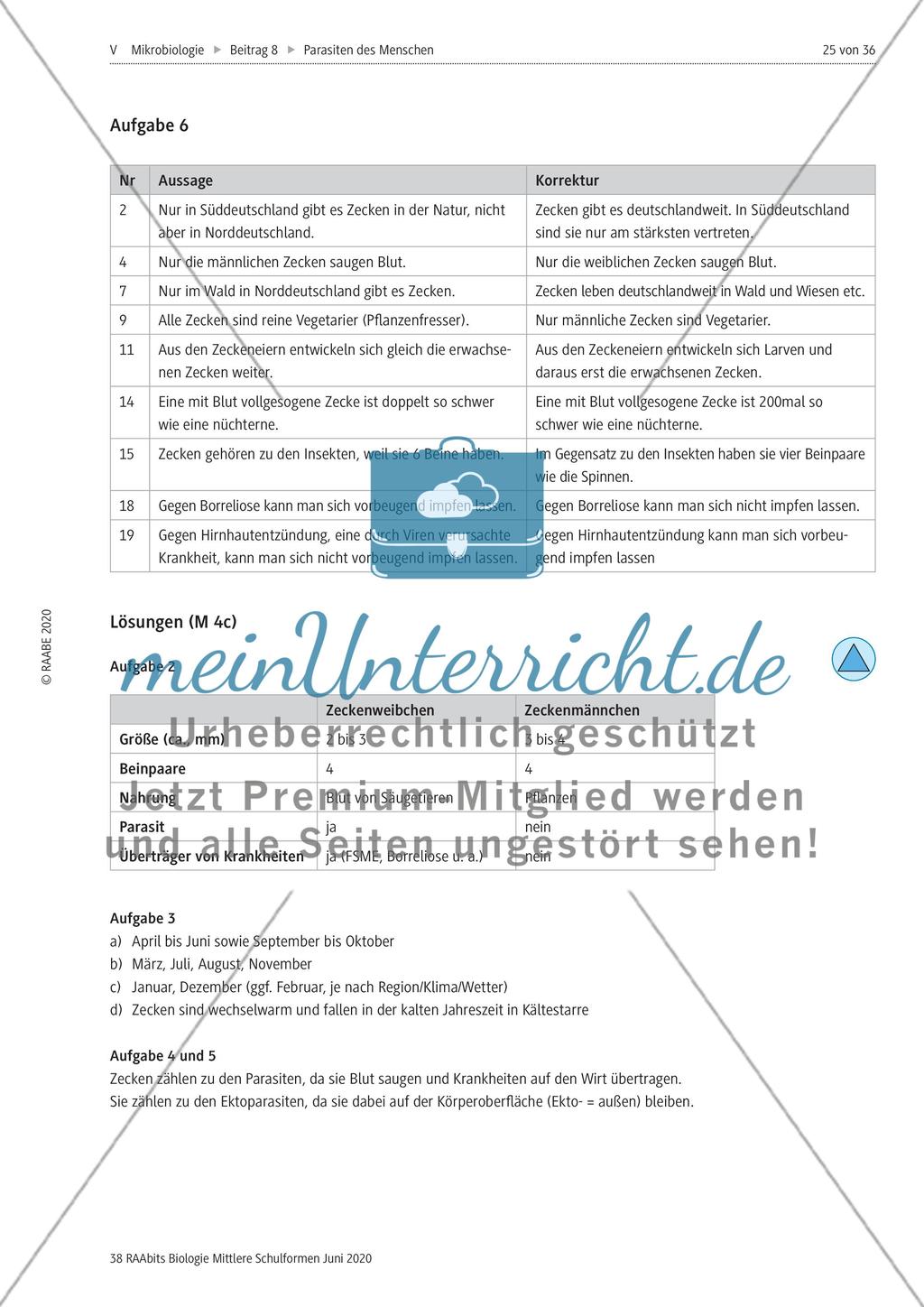 Strukturierungsbaustein – Zecken als keineswegs harmlose Ektoparasiten Preview 8