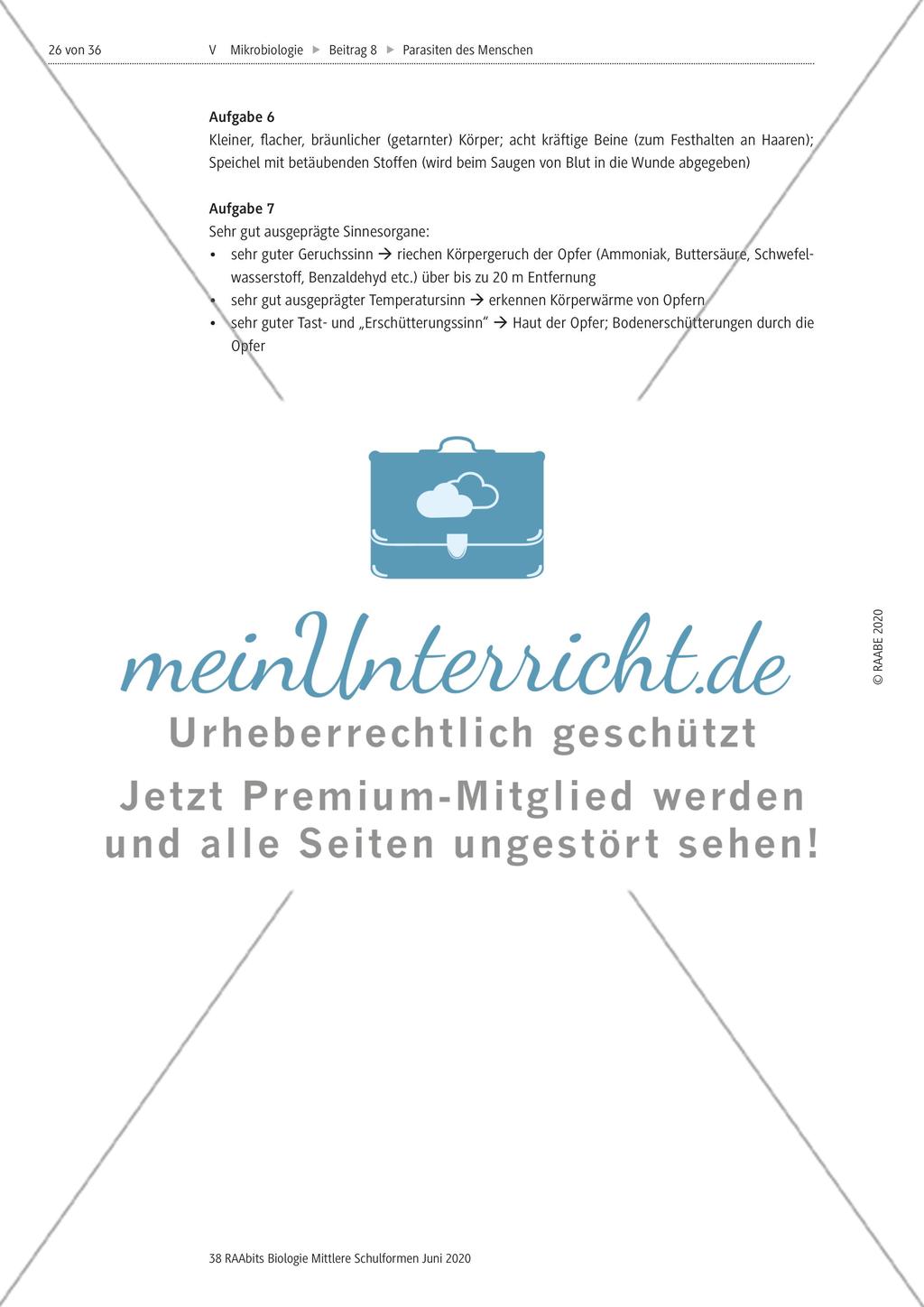 Strukturierungsbaustein – Zecken als keineswegs harmlose Ektoparasiten Preview 9