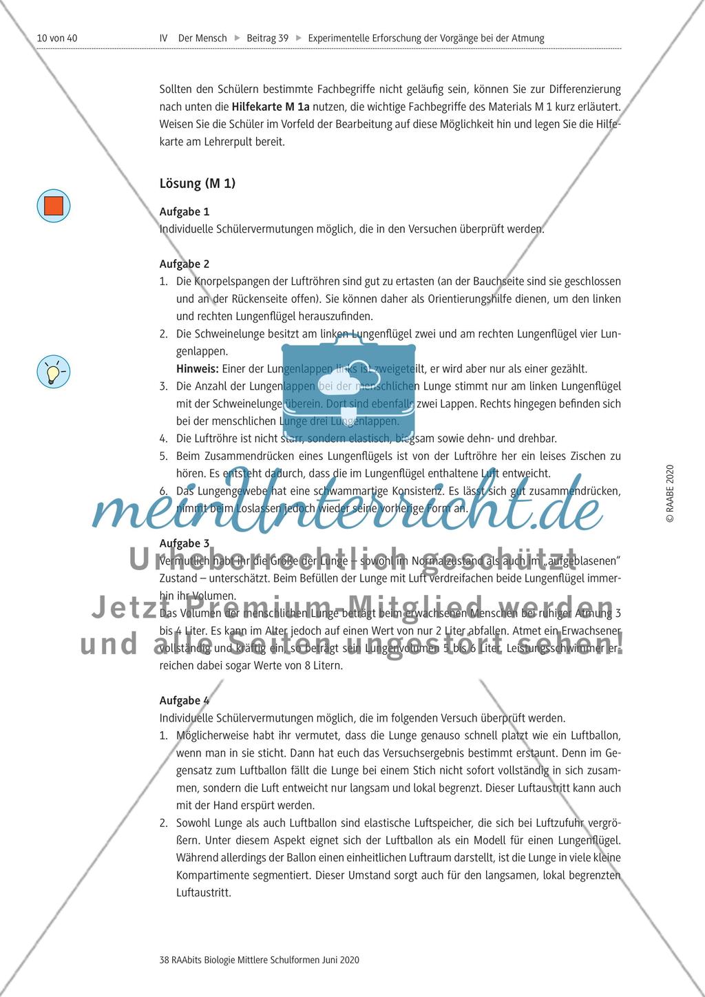 Experimentelle Erforschung der Vorgänge bei der Atmung Preview 10