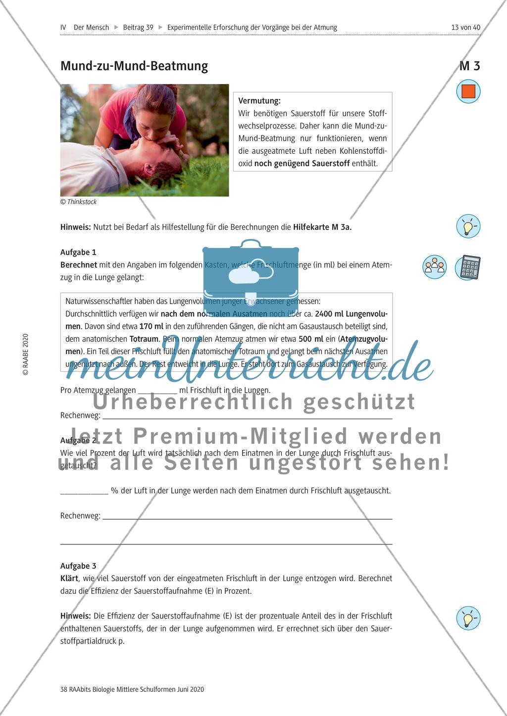 Experimentelle Erforschung der Vorgänge bei der Atmung Preview 13