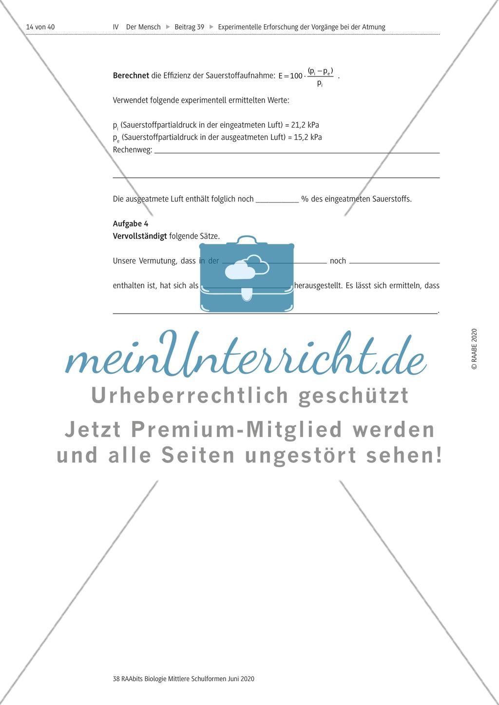 Experimentelle Erforschung der Vorgänge bei der Atmung Preview 14