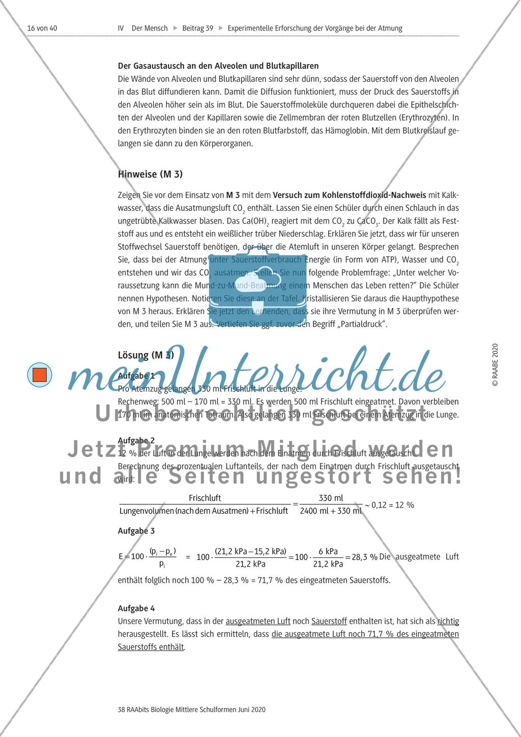 Experimentelle Erforschung der Vorgänge bei der Atmung Preview 16