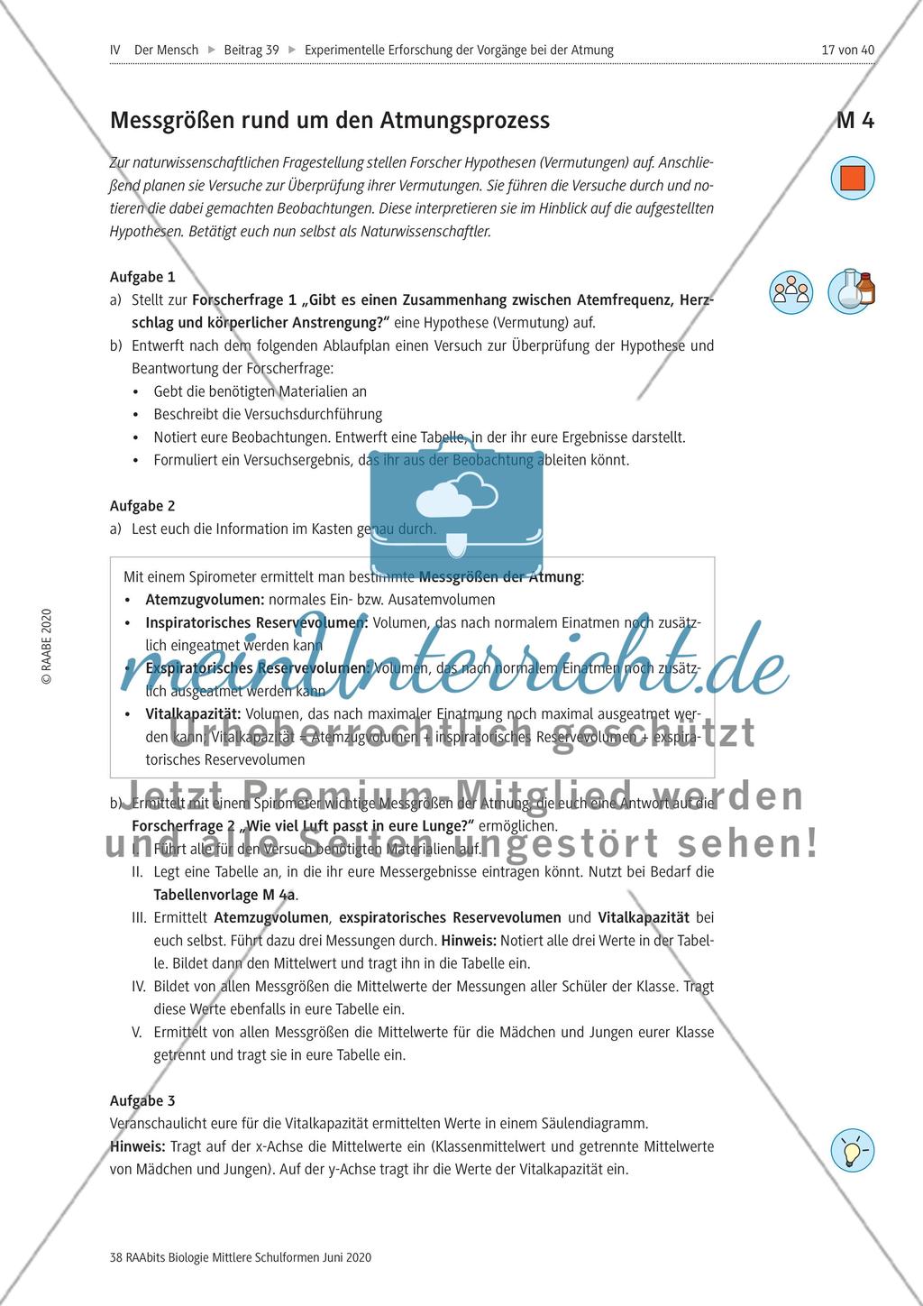 Experimentelle Erforschung der Vorgänge bei der Atmung Preview 17