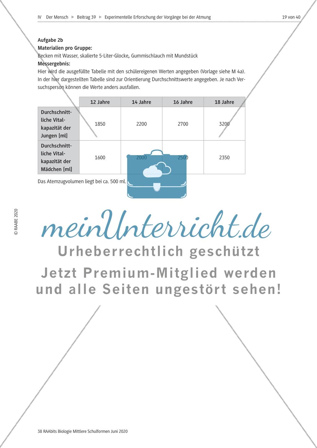 Experimentelle Erforschung der Vorgänge bei der Atmung Preview 19