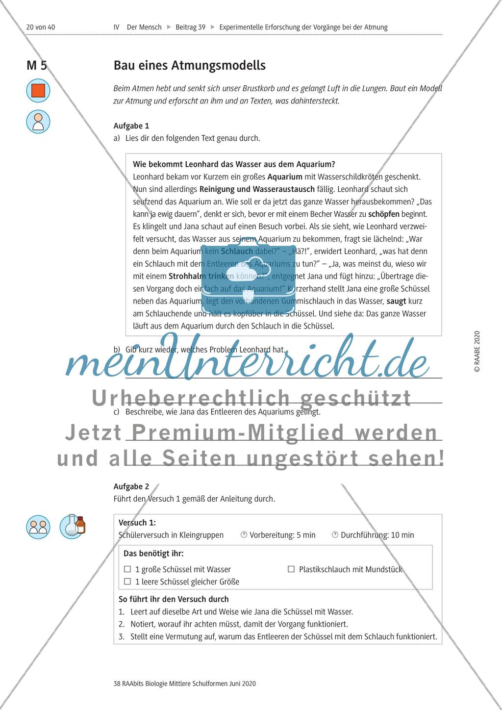 Experimentelle Erforschung der Vorgänge bei der Atmung Preview 20