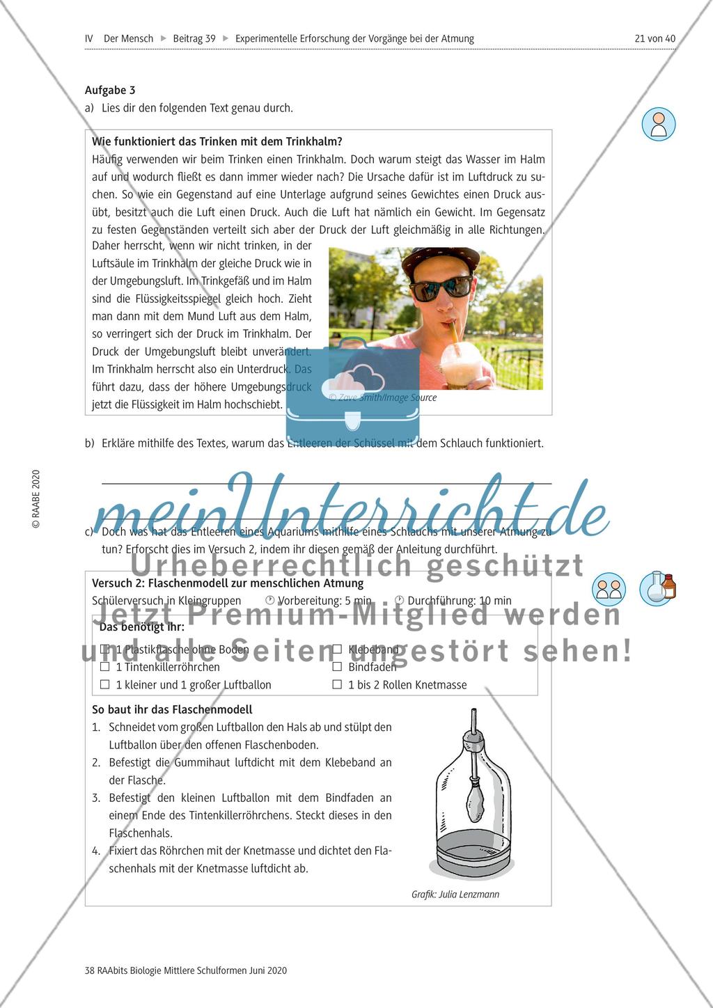 Experimentelle Erforschung der Vorgänge bei der Atmung Preview 21