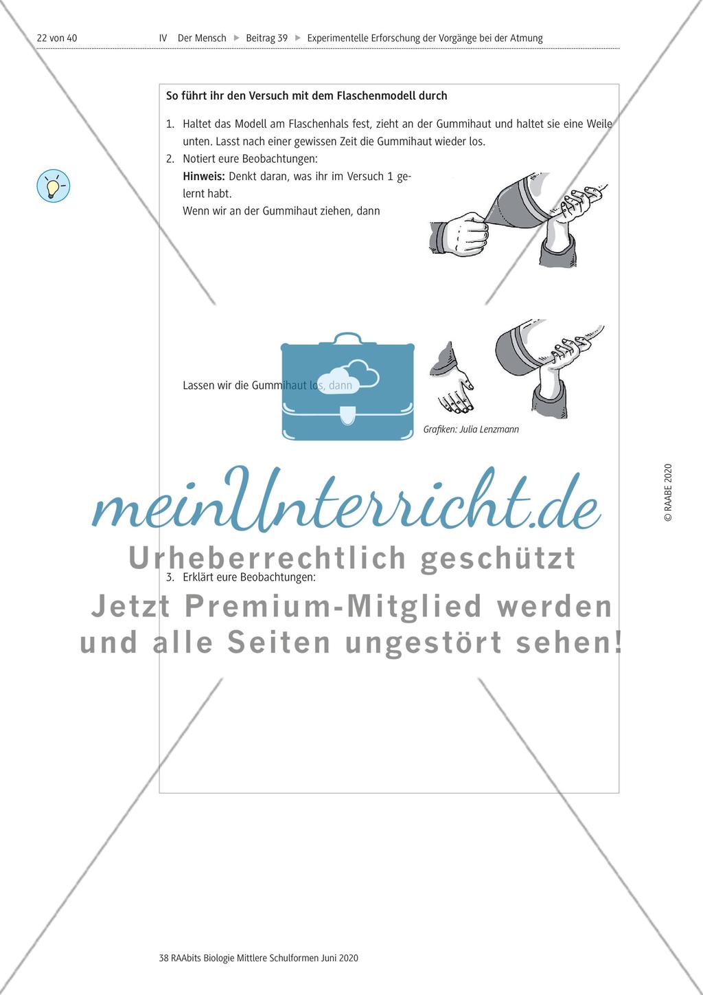 Experimentelle Erforschung der Vorgänge bei der Atmung Preview 22