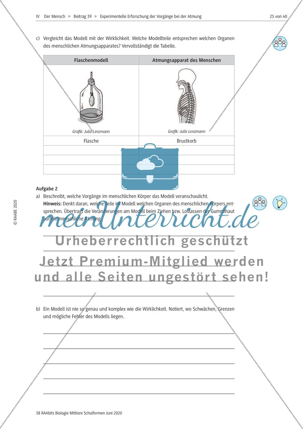 Experimentelle Erforschung der Vorgänge bei der Atmung Preview 25