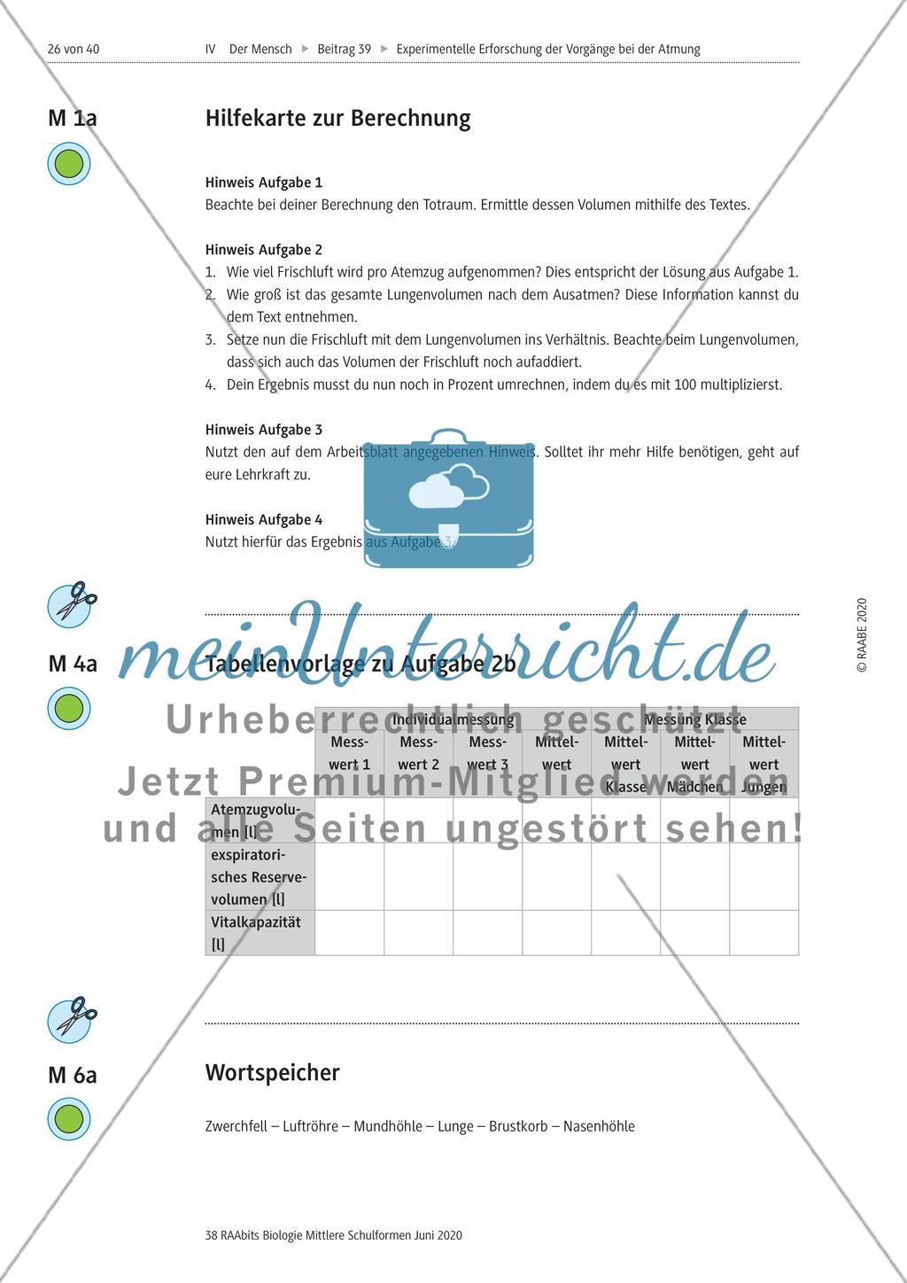 Experimentelle Erforschung der Vorgänge bei der Atmung Preview 26