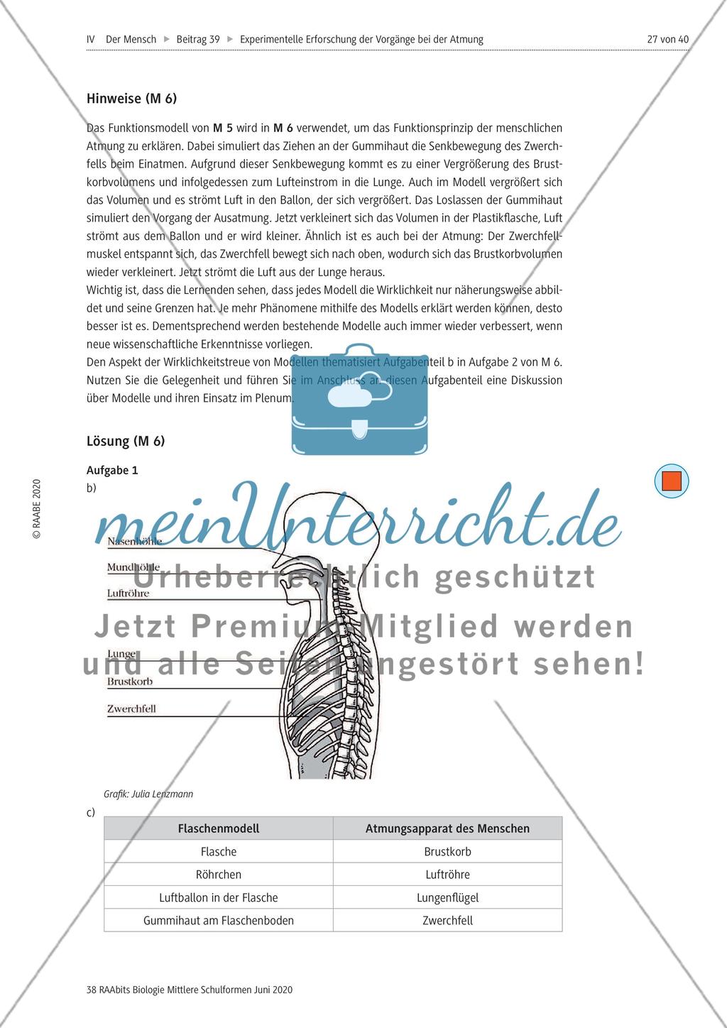 Experimentelle Erforschung der Vorgänge bei der Atmung Preview 27