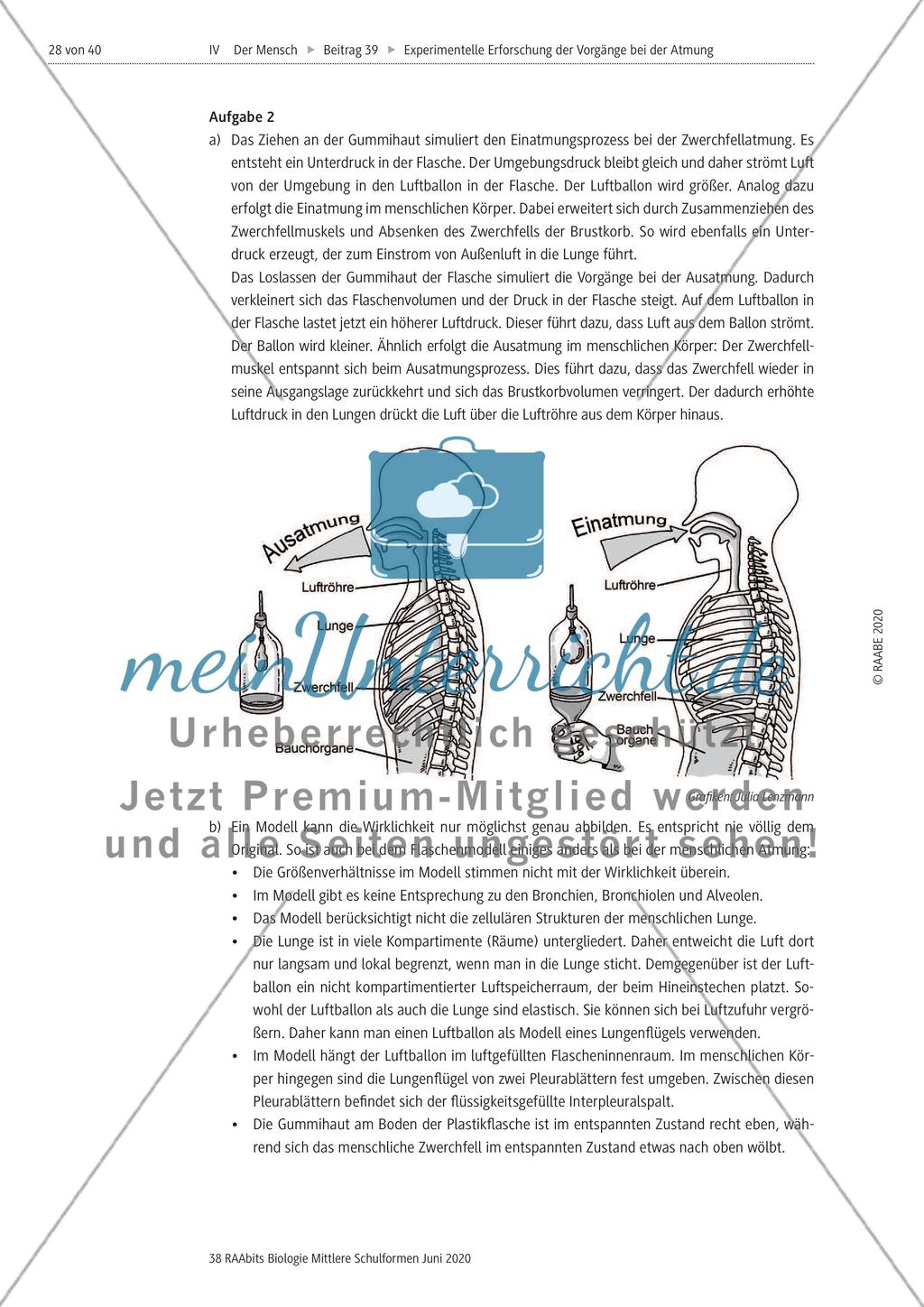 Experimentelle Erforschung der Vorgänge bei der Atmung Preview 28