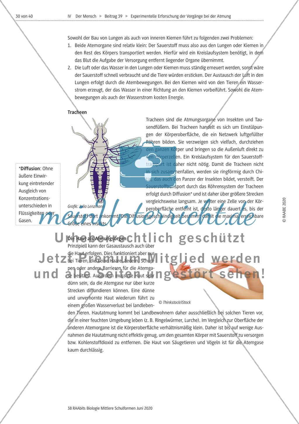 Experimentelle Erforschung der Vorgänge bei der Atmung Preview 30