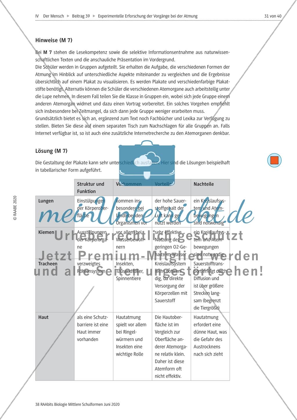 Experimentelle Erforschung der Vorgänge bei der Atmung Preview 31
