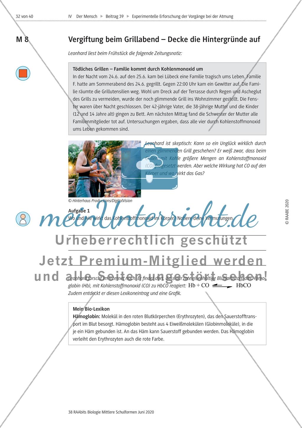 Experimentelle Erforschung der Vorgänge bei der Atmung Preview 32