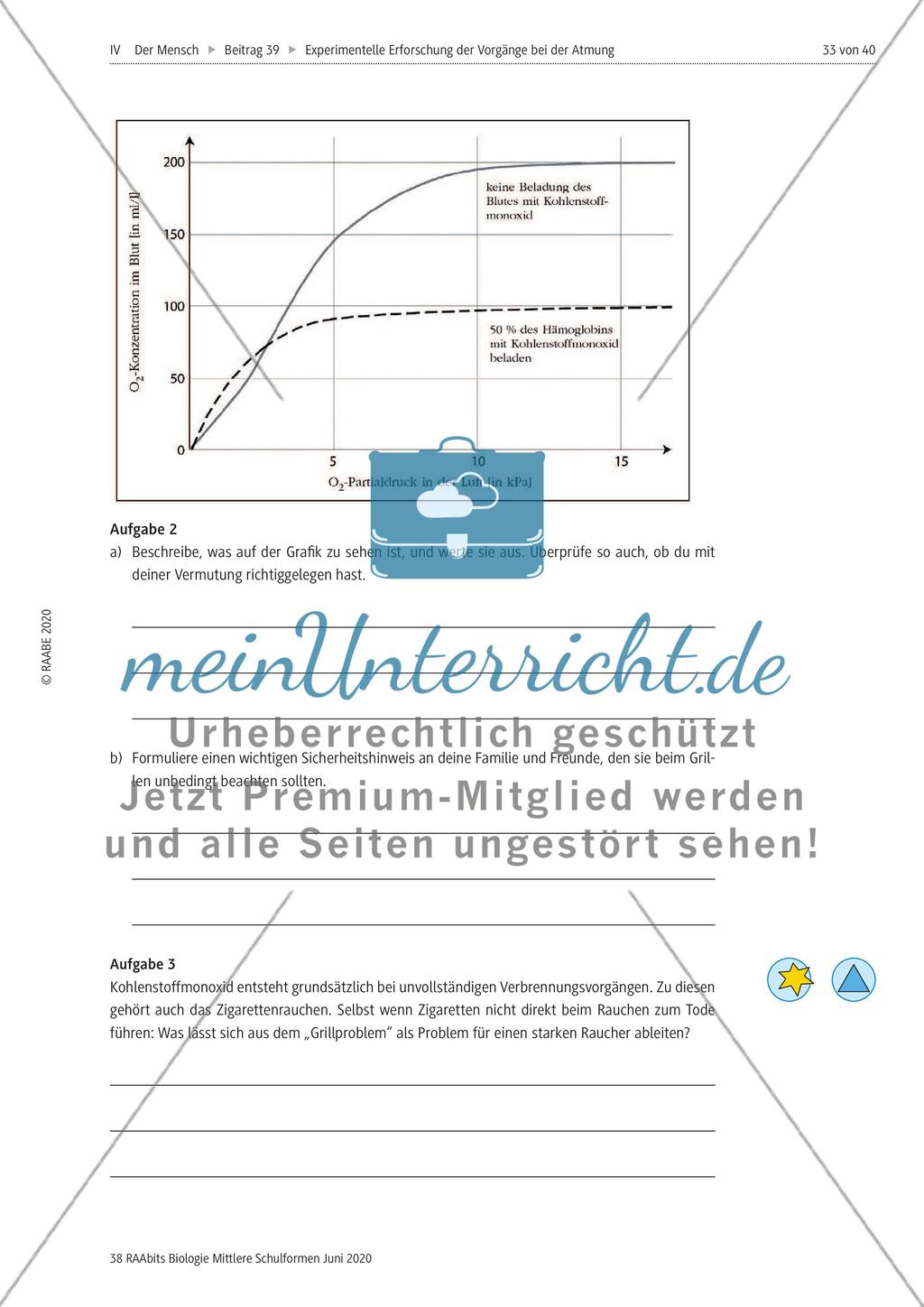 Experimentelle Erforschung der Vorgänge bei der Atmung Preview 33