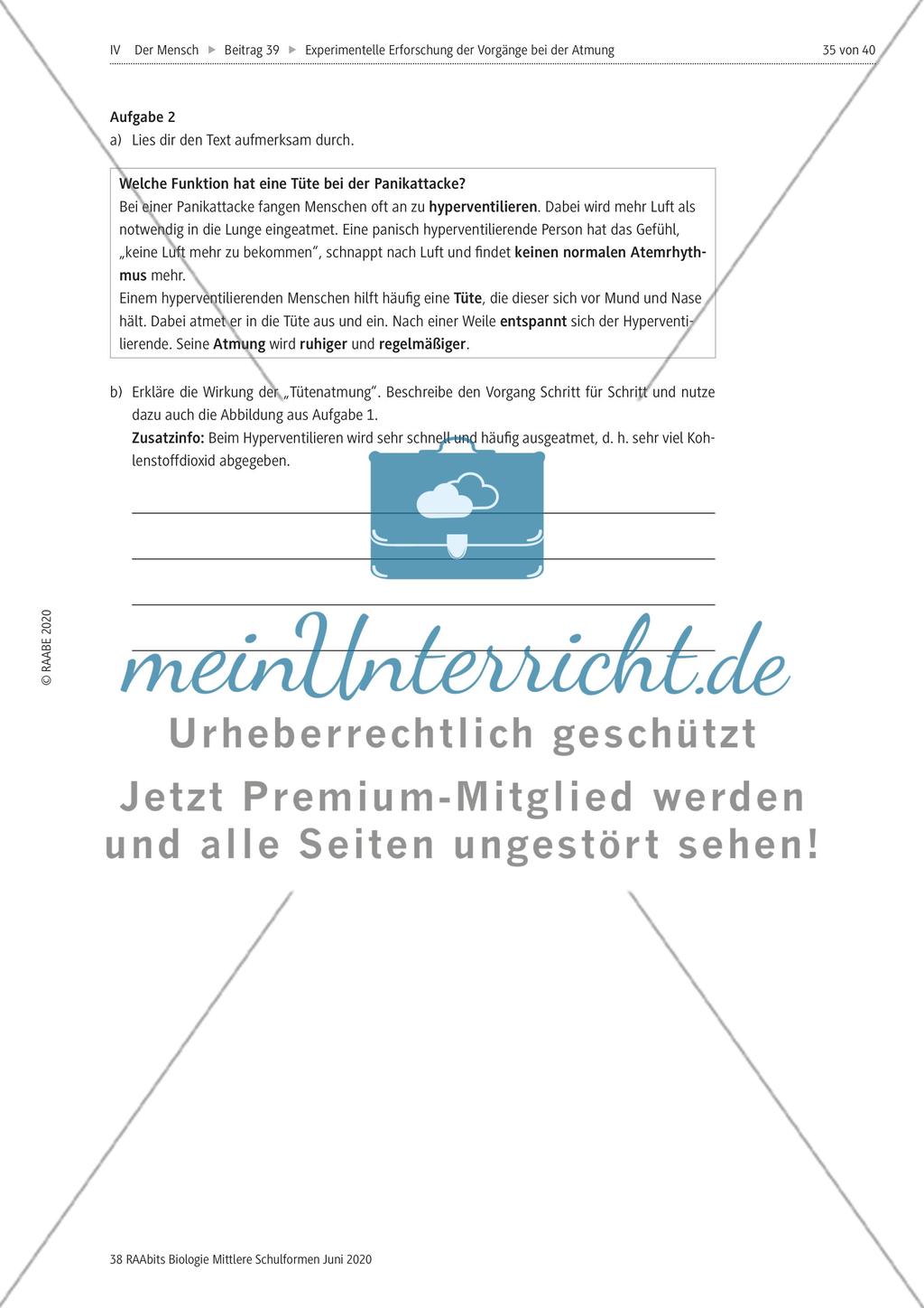 Experimentelle Erforschung der Vorgänge bei der Atmung Preview 35