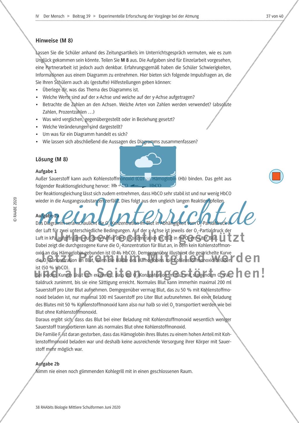 Experimentelle Erforschung der Vorgänge bei der Atmung Preview 37