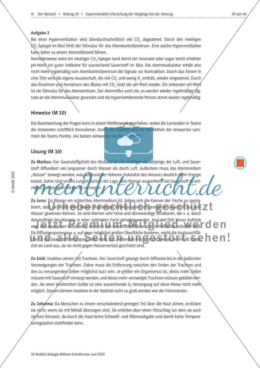 Experimentelle Erforschung der Vorgänge bei der Atmung Preview 39