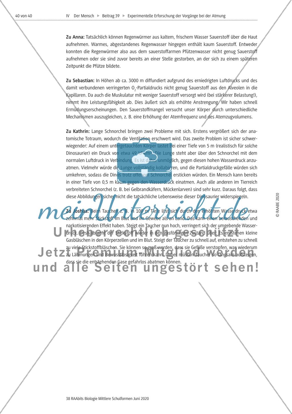 Experimentelle Erforschung der Vorgänge bei der Atmung Preview 40