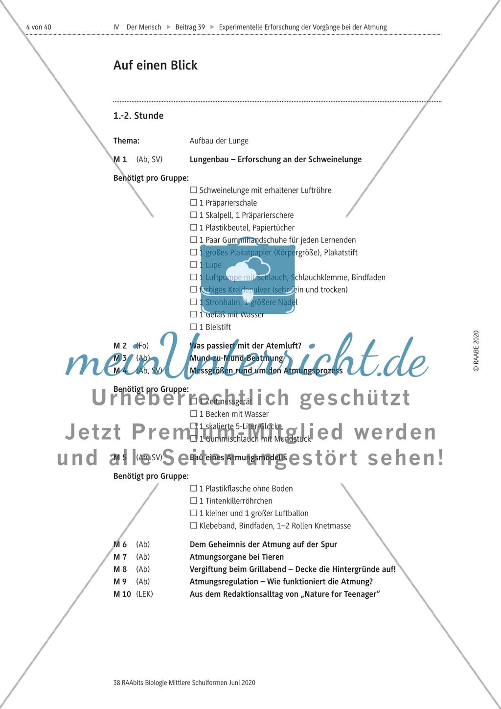 Experimentelle Erforschung der Vorgänge bei der Atmung Preview 4