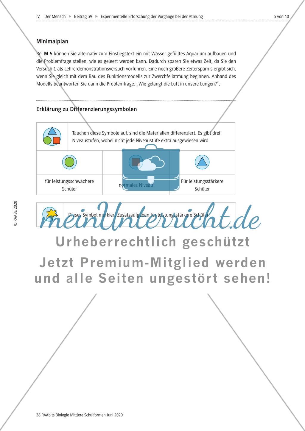 Experimentelle Erforschung der Vorgänge bei der Atmung Preview 5