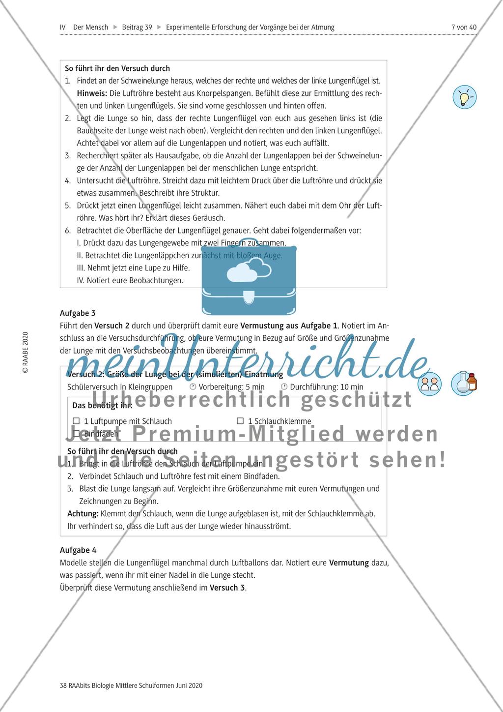 Experimentelle Erforschung der Vorgänge bei der Atmung Preview 7