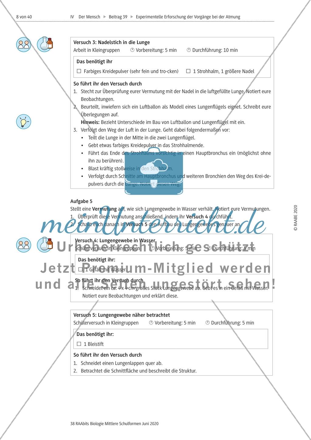 Experimentelle Erforschung der Vorgänge bei der Atmung Preview 8