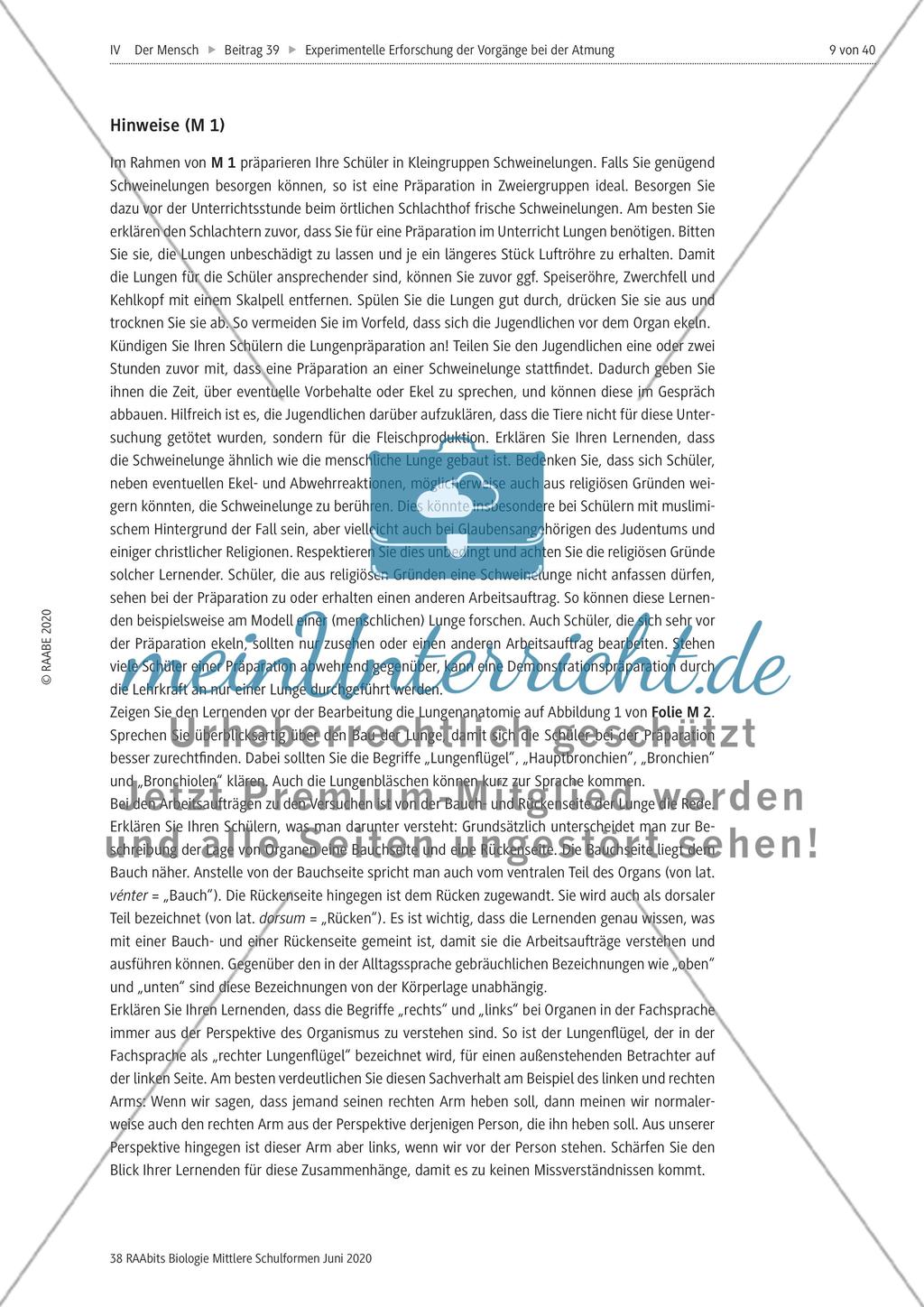 Experimentelle Erforschung der Vorgänge bei der Atmung Preview 9