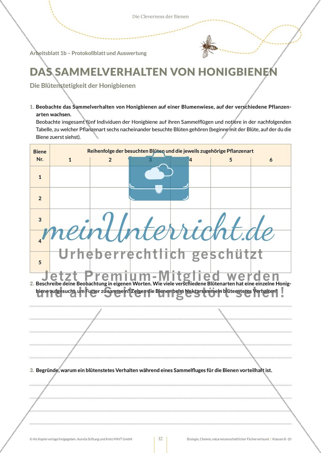 Die Cleverness der Bienen – Wie Bienen lernen Preview 12