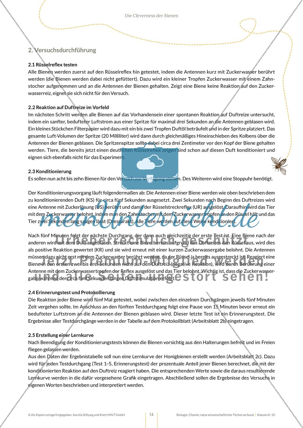 Die Cleverness der Bienen – Wie Bienen lernen Preview 14