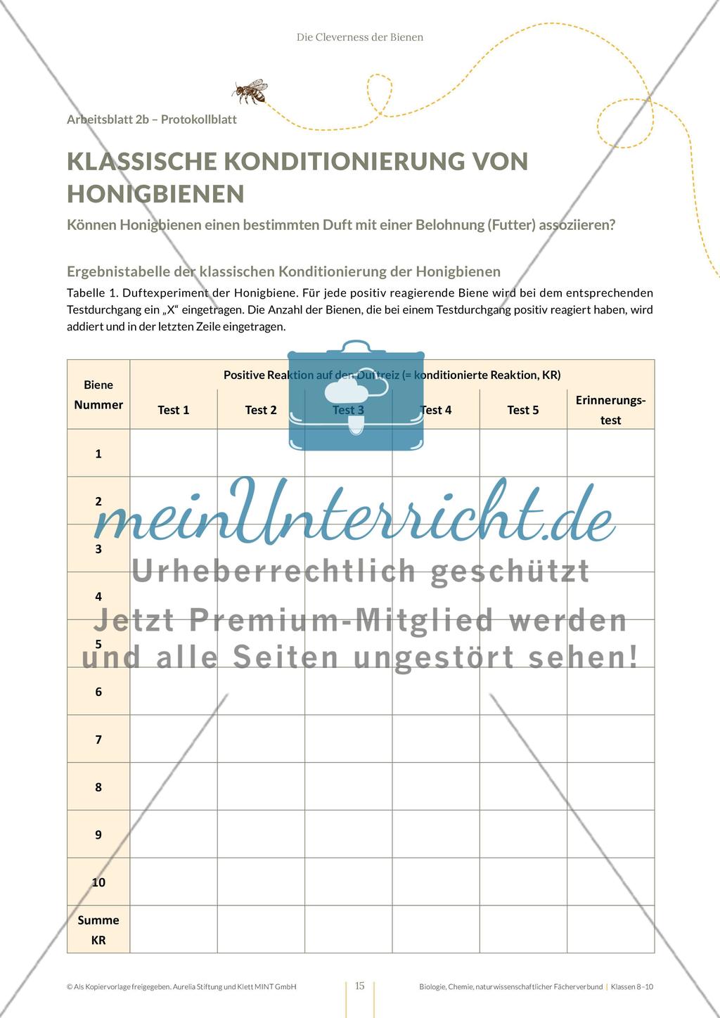 Die Cleverness der Bienen – Wie Bienen lernen Preview 15