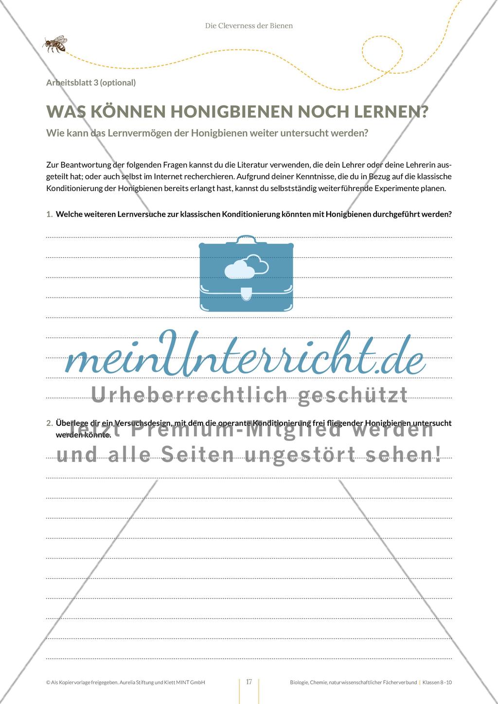 Die Cleverness der Bienen – Wie Bienen lernen Preview 17