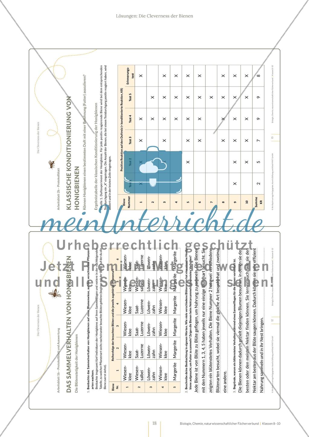 Die Cleverness der Bienen – Wie Bienen lernen Preview 18