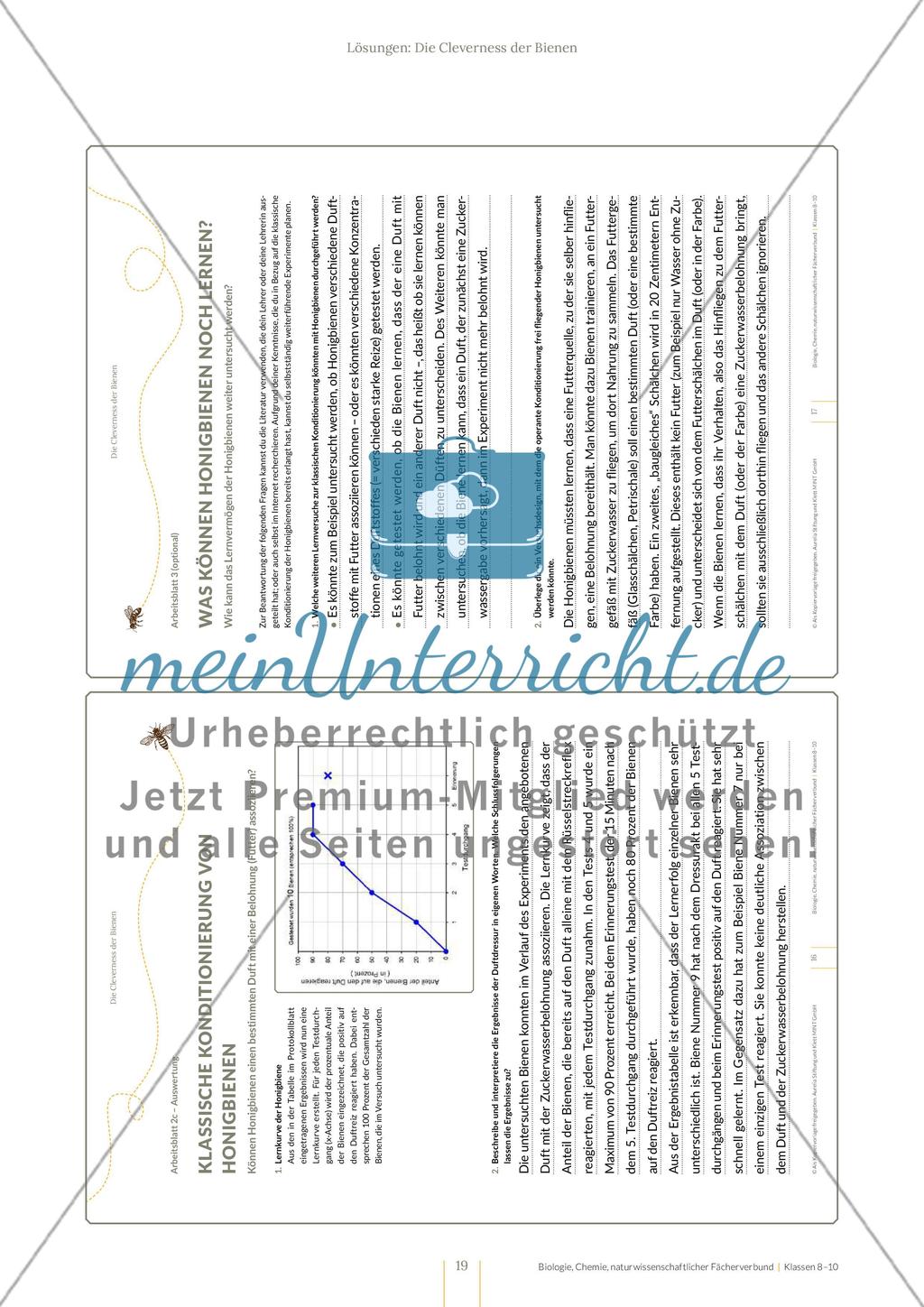 Die Cleverness der Bienen – Wie Bienen lernen Preview 19