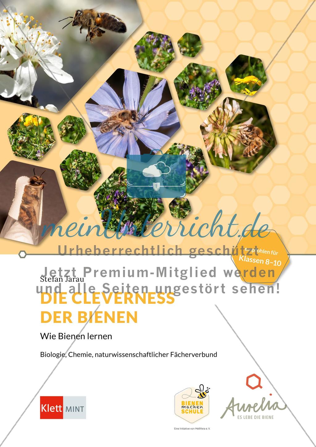 Die Cleverness der Bienen – Wie Bienen lernen Preview 1