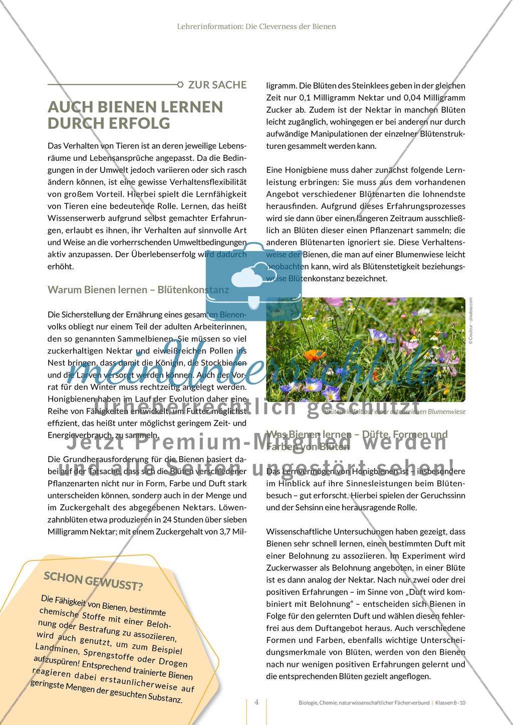 Die Cleverness der Bienen – Wie Bienen lernen Preview 4