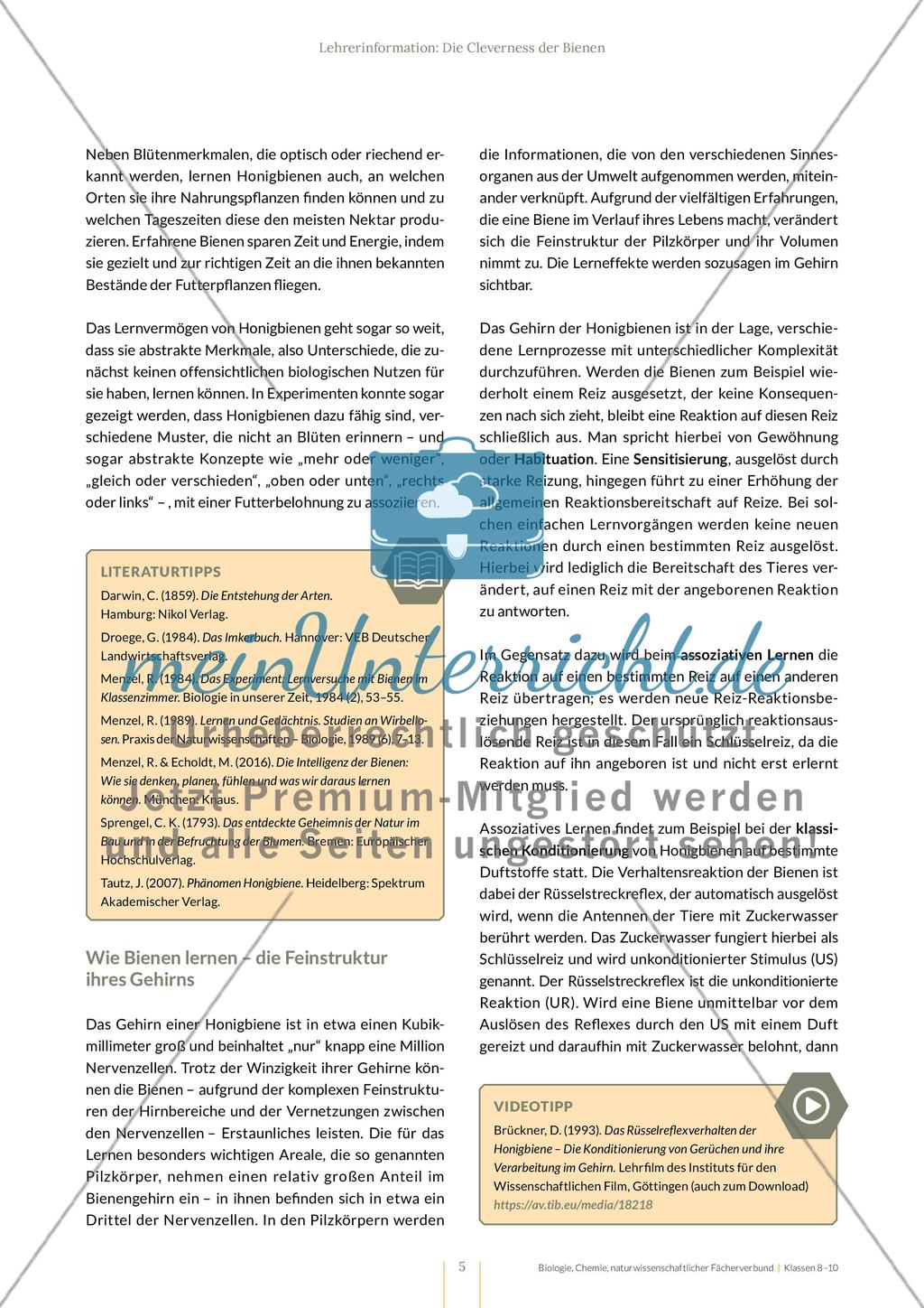 Die Cleverness der Bienen – Wie Bienen lernen Preview 5